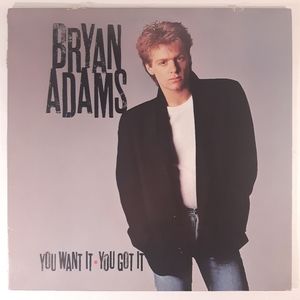 Bryan Adams - You Want It You Got It - Vinyl LP Record